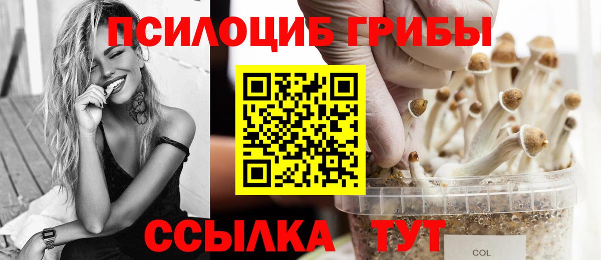 A-PVP Приморско-Ахтарск