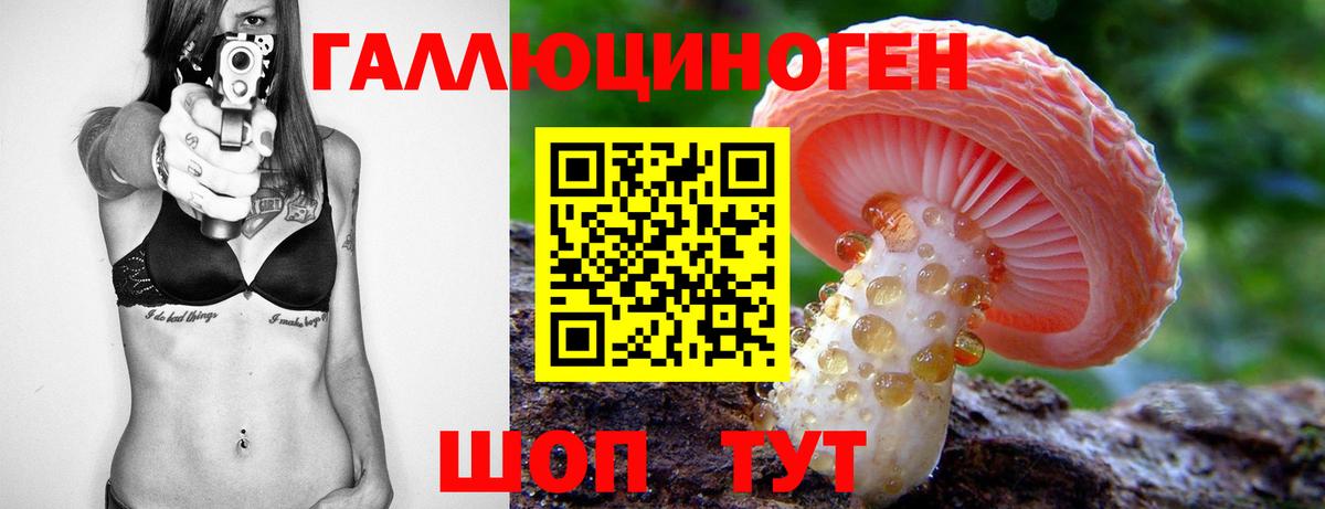 Галлюциногенные грибы Cubensis Приморско-Ахтарск